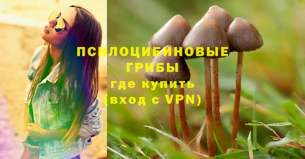 прущий лед Абаза