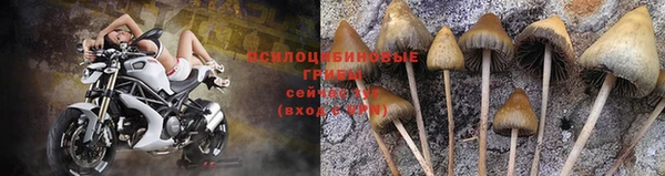 спиды Болохово