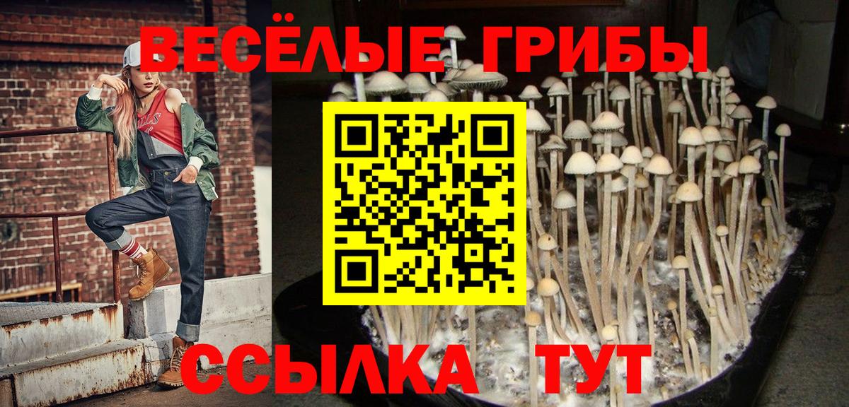 Галлюциногенные грибы GOLDEN TEACHER  Вход с VPN  Галлюциногенные грибы прущие грибы  Александров 