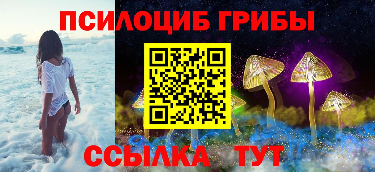 Псилоцибиновые грибы прущие грибы Александров